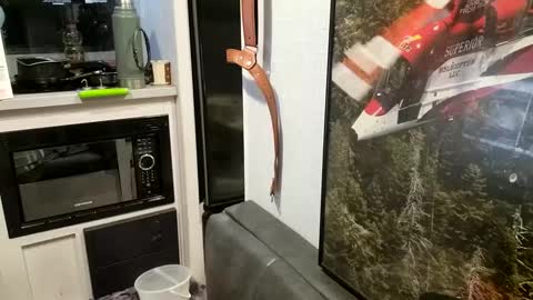 Snapshot of brushsquach chatting on February 21, 2025, 10:07 am Steve... aka SkinnieDippin aka TimberTramp online show from February 21, 2025, 10:07 am