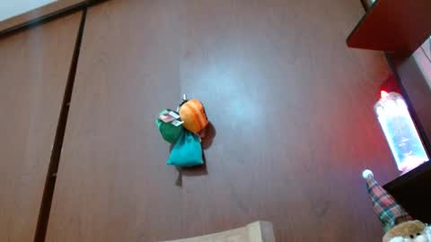 Snapshot of bryan_colen chatting on February 11, 2025, 4:24 pm Enjoy the best muscle straws online show from February 11, 2025, 4:24 pm