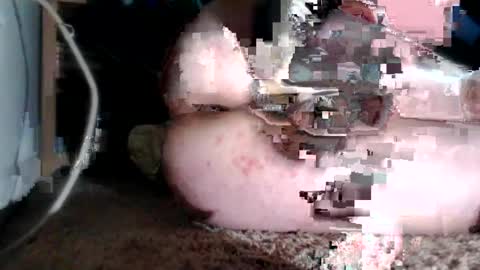 bubblebuttnnut online show from June 11, 2026, 1:38 am