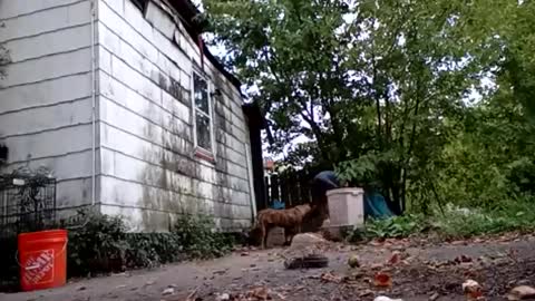 buddylovex online show from October 6, 2025, 10:18 pm