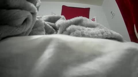 budsonly33 online show from December 12, 2024, 7:52 am