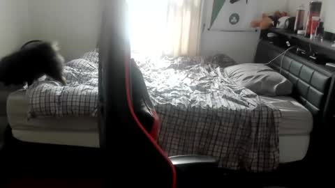 Snapshot of buffsexyman24 chatting on March 6, 2025, 8:05 pm buffsexyman24 online show from March 6, 2025, 8:05 pm