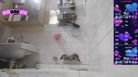 Snapshot of bukkakebae chatting on January 8, 2025, 6:41 pm bukkakebae online show from January 8, 2025, 6:41 pm