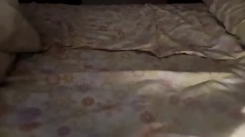 bullspain27266272 online show from March 3, 2025, 4:47 am