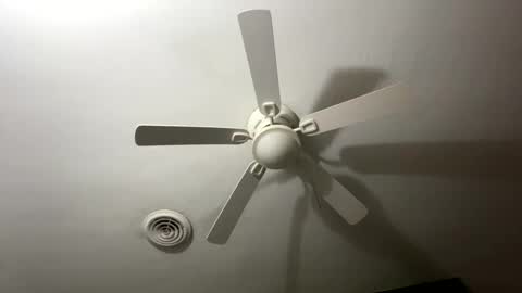 bunnibaby333 online show from September 28, 2025, 9:58 am