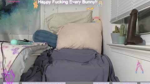 Snapshot of bunnycheekz chatting on December 4, 2024, 11:24 pm Tokki bunny online show from December 4, 2024, 11:24 pm