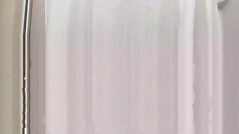 Snapshot of burnout1315 chatting on December 28, 2024, 5:03 pm Burnout1315 online show from December 28, 2024, 5:03 pm