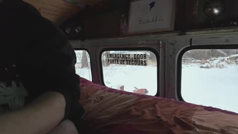 Snapshot of busbuddies chatting on December 29, 2024, 4:19 pm busbuddies online show from December 29, 2024, 4:19 pm