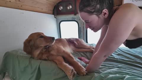 Snapshot of busbuddies chatting on February 2, 2025, 4:54 pm busbuddies online show from February 2, 2025, 4:54 pm