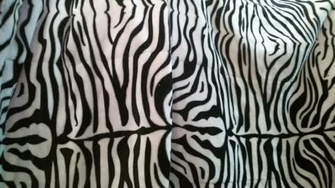 bustinfree online show from February 28, 2025, 3:37 pm