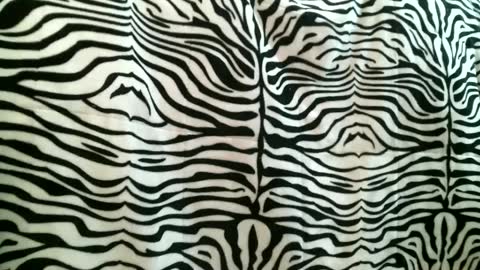 bustinfree online show from September 16, 2025, 3:35 pm