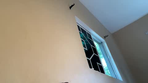 bustyirie online show from April 9, 2026, 2:55 pm