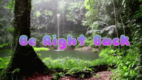 Snapshot of butterflyandbear chatting on December 8, 2024, 9:19 pm Butterfly and Bear online show from December 8, 2024, 9:19 pm