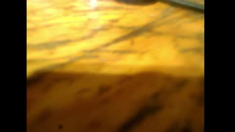 Snapshot of bzxxbzh chatting on February 15, 2026, 4:14 pm bzxxbzh online show from February 15, 2026, 4:14 pm