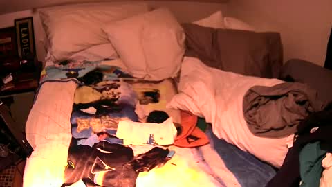 c547409 online show from October 2, 2025, 4:36 pm