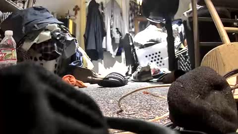 c547409 online show from October 21, 2025, 10:32 pm