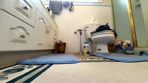 Snapshot of cali1962 chatting on October 6, 2025, 6:16 pm Cal online show from October 6, 2025, 6:16 pm