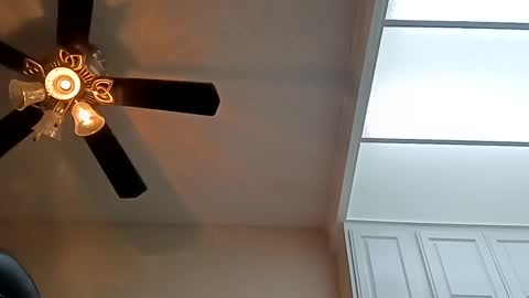 Hugh joh Meathammer online show from December 22, 2024, 2:49 am