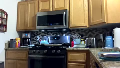 calishop1 online show from December 15, 2024, 3:56 am