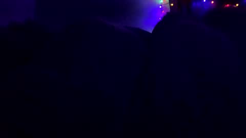 calishop1 online show from February 9, 2025, 7:05 am