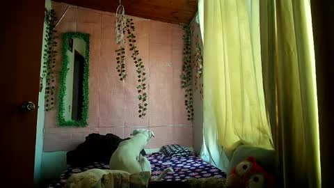 paula online show from March 25, 2026, 9:54 pm