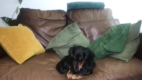 CamDoAttitude online show from April 18, 2026, 11:58 am