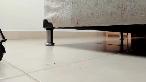 camii  online show from April 13, 2026, 11:43 pm