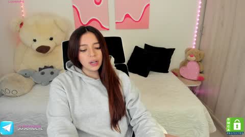 Snapshot of camila_ec2 chatting on December 27, 2024, 9:22 pm C A M I online show from December 27, 2024, 9:22 pm