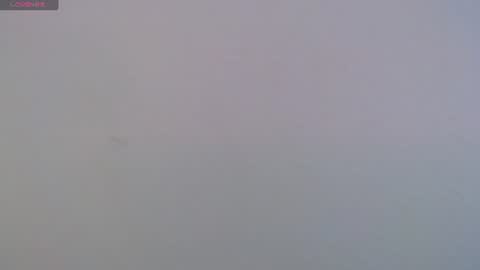 camila_torresss online show from June 8, 2026, 7:58 pm