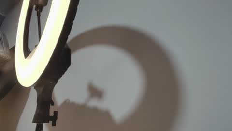 CAMILO  online show from March 15, 2026, 1:06 pm