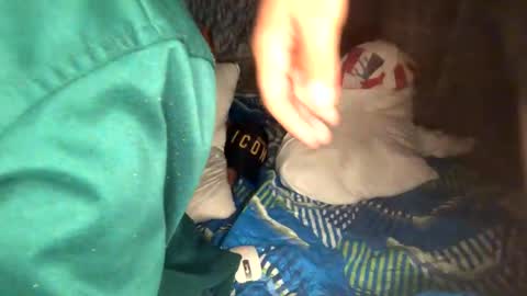 camivaron online show from January 13, 2025, 8:58 am