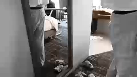 cammyman6900 online show from March 25, 2026, 8:59 pm