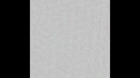 Taisia online show from February 1, 2025, 8:50 am