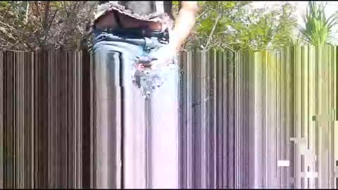 Candi Cakes online show from March 4, 2026, 8:04 pm