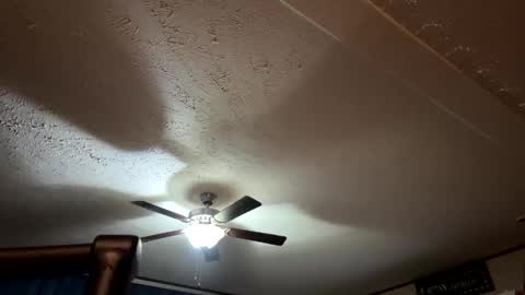 Snapshot of candicewlahna chatting on September 12, 2025, 7:41 am candicewlahna online show from September 12, 2025, 7:41 am