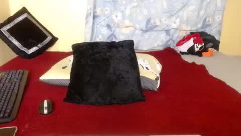 candy_hun online show from October 28, 2025, 6:54 pm