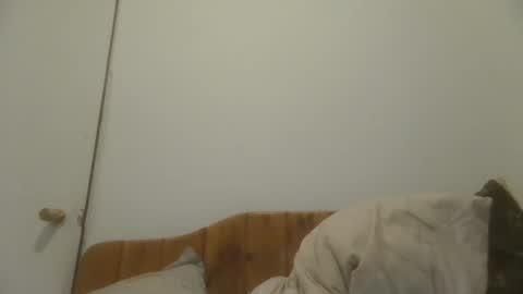 caravibugue online show from December 7, 2024, 1:03 am