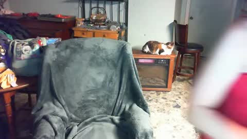 Snapshot of carleyquinn42183 chatting on December 2, 2024, 3:47 am Carley online show from December 2, 2024, 3:47 am