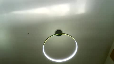 Carlos online show from March 16, 2026, 8:29 am