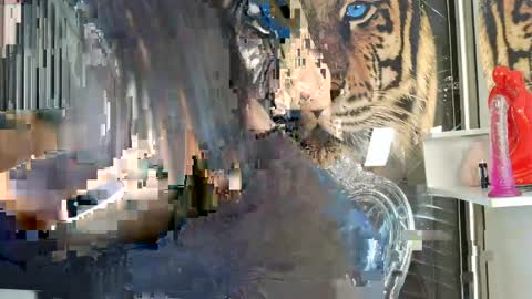 Carolay online show from April 14, 2026, 3:45 am
