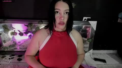 carolina dorothy online show from February 1, 2026, 9:13 pm