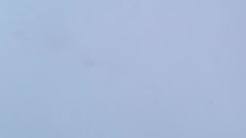 caro online show from February 16, 2026, 3:24 am