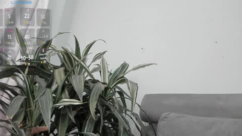 carolina_t online show from January 22, 2025, 12:59 am