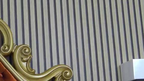 carolinahart online show from March 24, 2026, 6:51 am