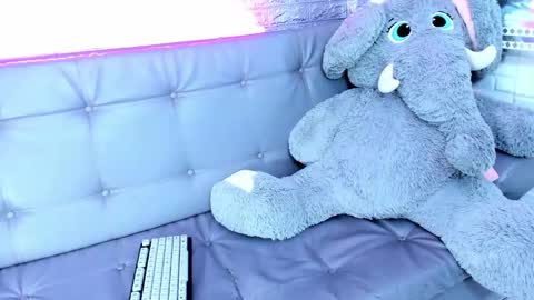 carolinejesh online show from February 17, 2026, 6:03 pm