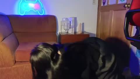 kitty online show from December 7, 2024, 5:15 am