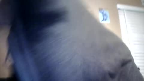 carsonlueders8775 online show from January 13, 2025, 1:56 am