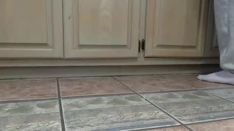 cash13bychanel online show from December 22, 2025, 7:44 pm