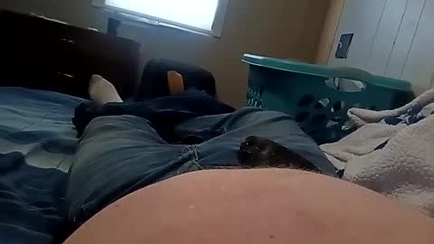 Sir Stroke Alot online show from December 2, 2024, 3:58 pm