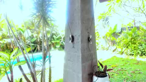 Hello my name is Cassie and my friend Nilo is also here online show from February 18, 2026, 1:12 am